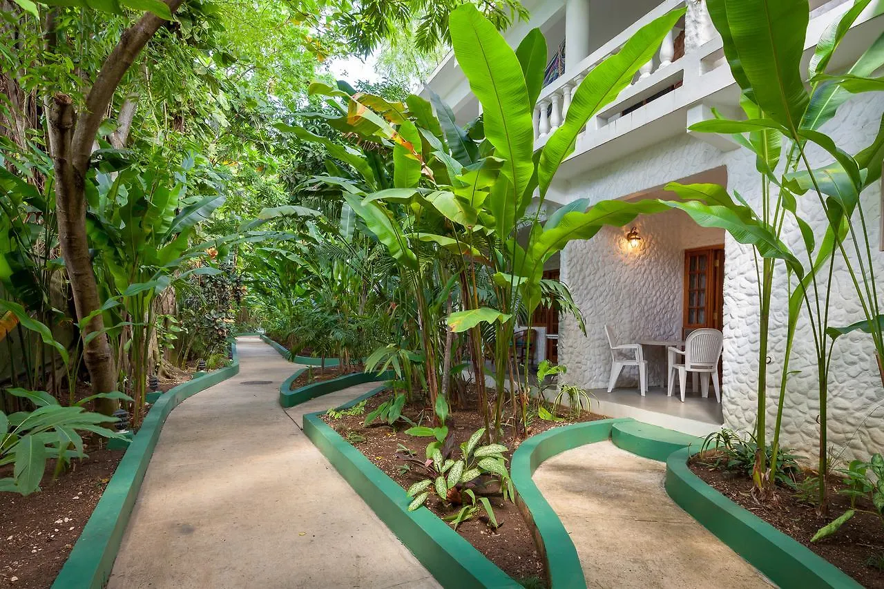 Beach House Condos, Negril Hotel